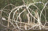 Image of Army Razor Wire